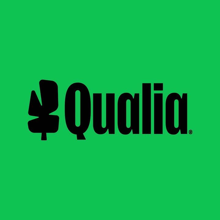 Qualia Microschool logo
