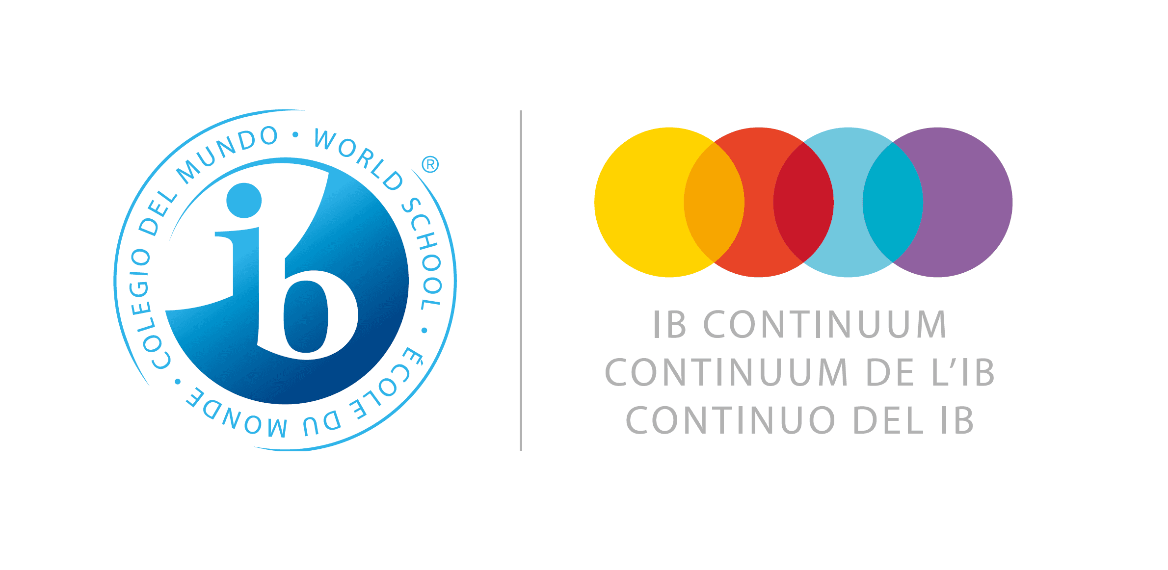 Currículo Internacional 1