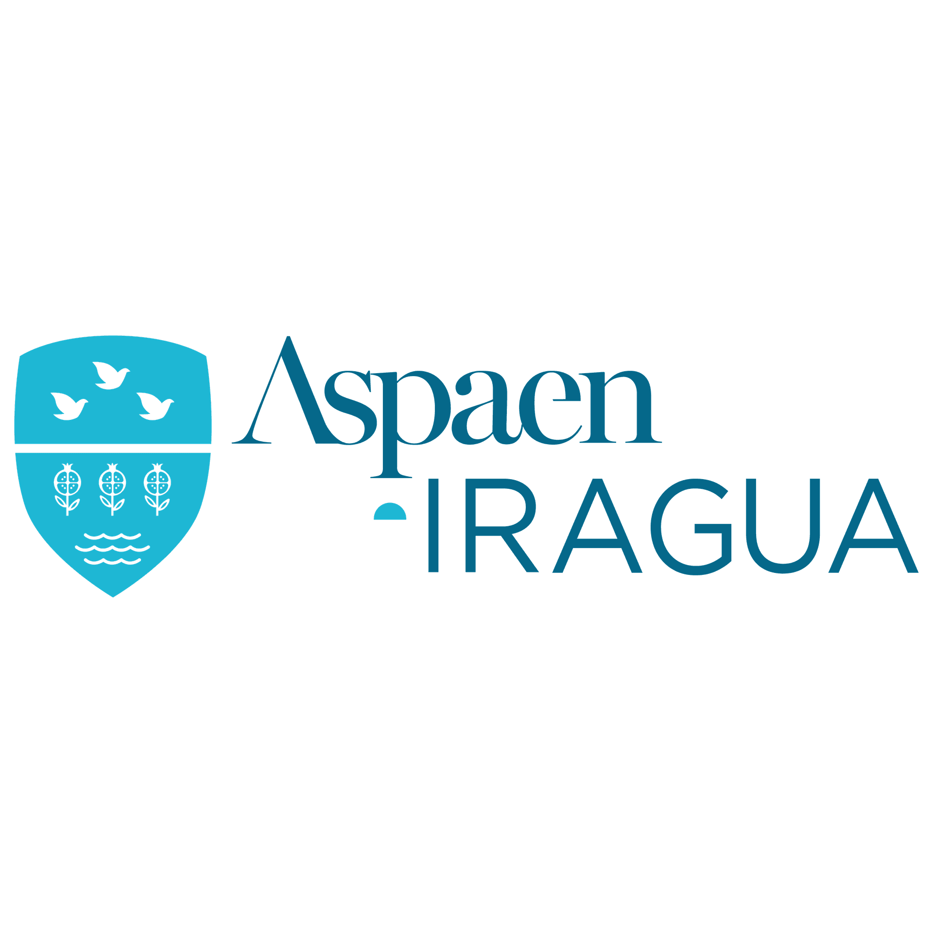 Aspaen Gimnasio Iragua logo